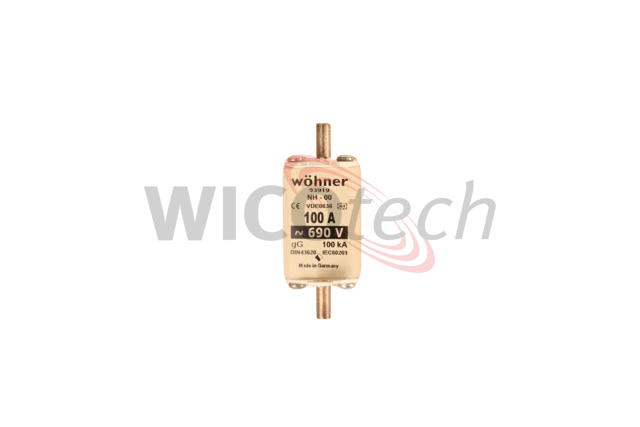 Fuse NH00 690V 100A gL/gG